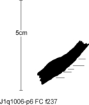 W21d0395 J1q1006-p06 S918 kF cv f237.jpg